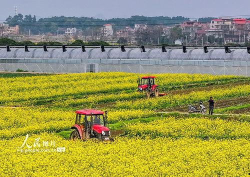 1024国产基地在线,探索中国科技产业的创新与发展 第3张 1024国产基地在线,探索中国科技产业的创新与发展 第3张