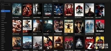 国产TV毛片,揭秘影视行业背后的隐秘角落  第2张