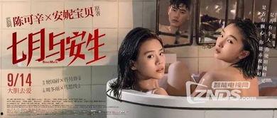 国产女同调教,探索情感与成长的独特旅程  第3张