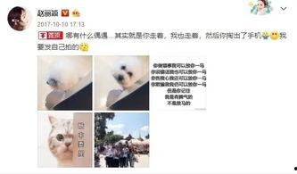 赵丽颖娱乐吃瓜事件视频,揭秘吃瓜视频背后的真相